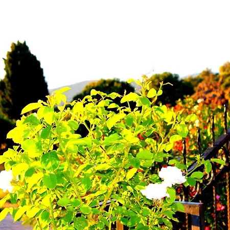 Motel para Casais Gulnar Sultan Tas Konak *