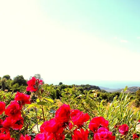 Gulnar Sultan Tas Konak Ξενοδοχείο ημιδιαμονής *