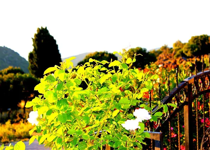 Timebasishotel Gulnar Sultan Tas Konak *