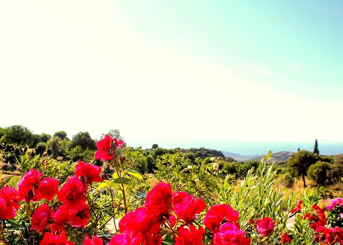 Gulnar Sultan Tas Konak Motel para Casais *